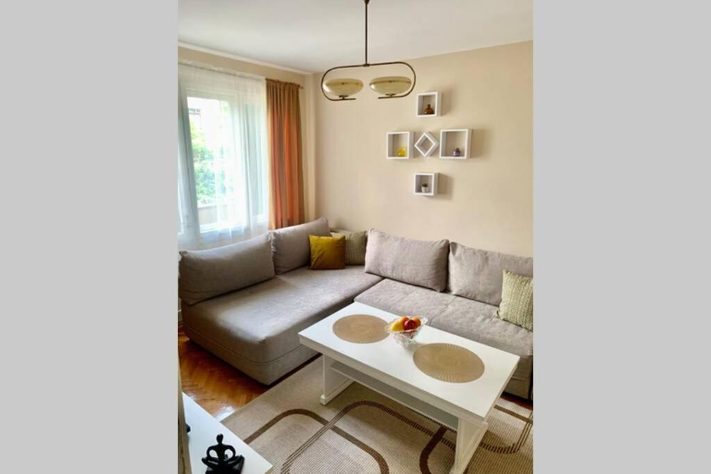 Cute, Spacious Apt In The Heart Of The Old Town Podgorica Esterno foto