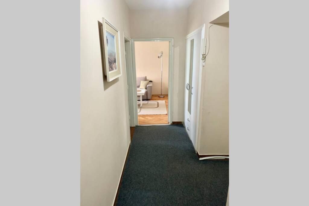 Cute, Spacious Apt In The Heart Of The Old Town Podgorica Esterno foto