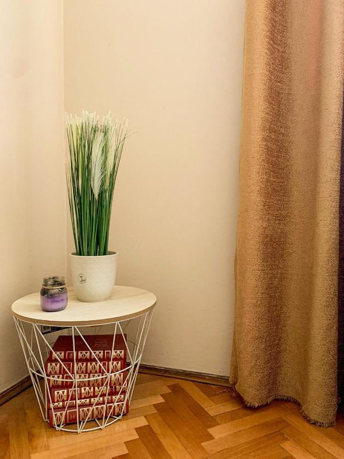 Cute, Spacious Apt In The Heart Of The Old Town Podgorica Esterno foto